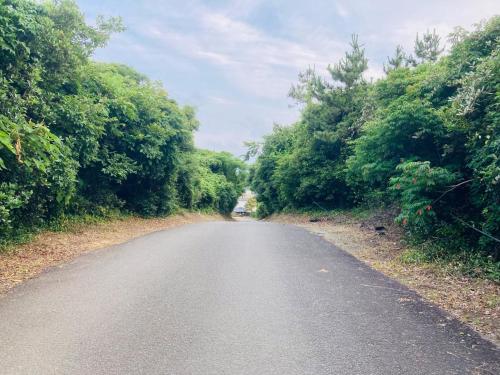 an empty road with trees on both sides at Guesthouse Nichinan - Vacation STAY 82905v in Nichinan