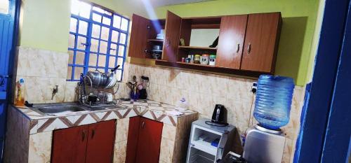 Kuchyň nebo kuchyňský kout v ubytování Ndune homes