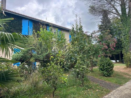 a house with blue windows and plants in the yard at Maison Luna 2 in Salies-de-Béarn