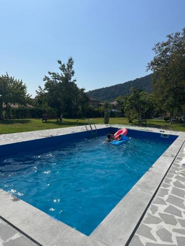 a person in a swimming pool with a toy in the water at DreamLand Lagodekhi & Wine Cellar in Lagodekhi