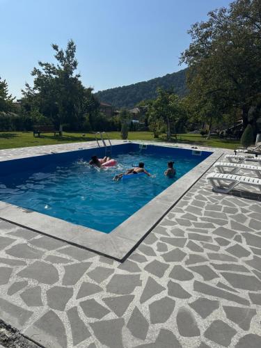 a group of people swimming in a swimming pool at DreamLand Lagodekhi & Wine Cellar in Lagodekhi