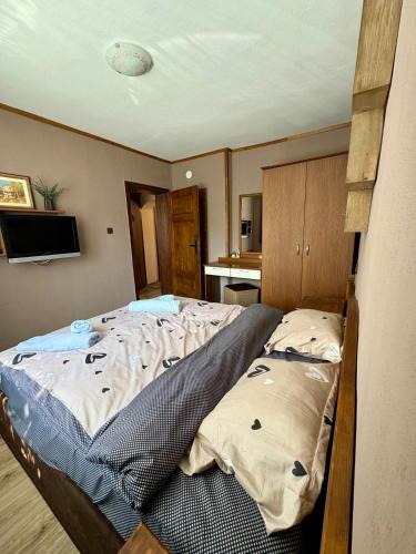 een slaapkamer met een groot bed in een kamer bij Apartment Hristina in Dobrinishte