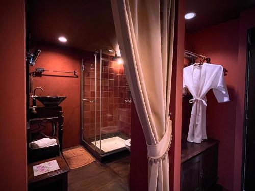 a bathroom with a shower and a sink and a toilet at Old Capital Bike Inn - SHA Certified in Bangkok