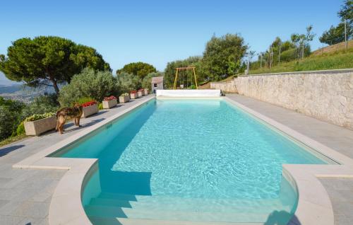 a dog standing next to a swimming pool at Amazing Apartment In Magione in Magione