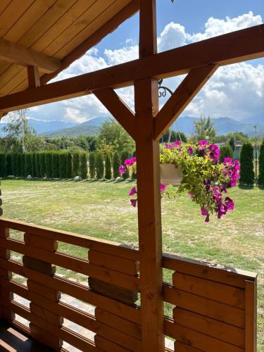 a garden view from a pergola with pink flowers at Casa Fericirii in Cîrţişoara