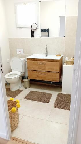 a bathroom with a toilet and a sink with a mirror at La Collégiale in LʼIsle-sur-la-Sorgue
