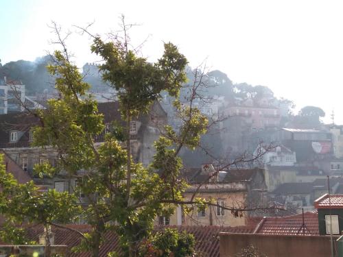 3 bedroom apartment in Mouraria