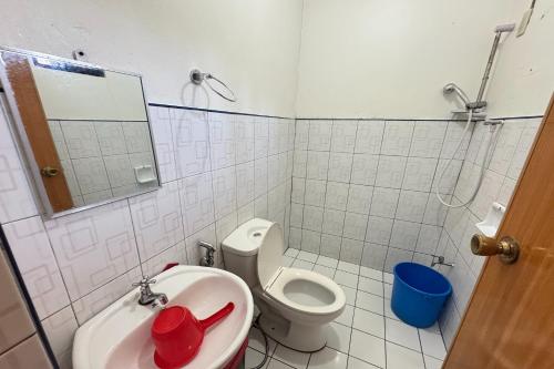 a bathroom with a sink and a toilet and a mirror at Jamjen's Lodge in Baler