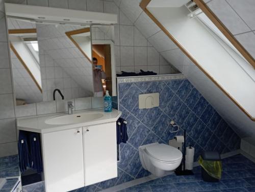 a bathroom with a sink and a toilet at Himmelsleiter in Schneeberg