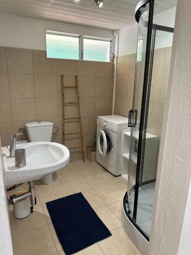 a bathroom with a sink and a washing machine at Le Figuier De Barbarie in Sainte-Rose