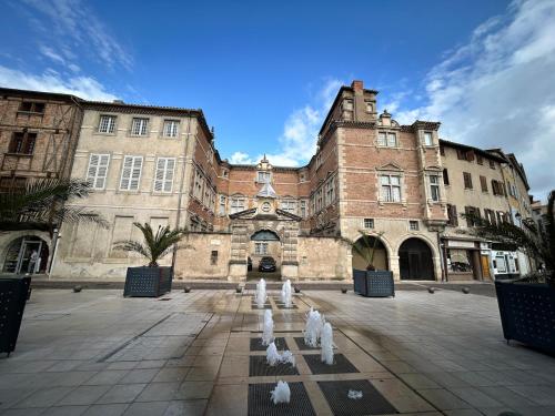 カストルにあるAppartement au calme commerces à proximitéの正面に白い鳩がいる大きな建物