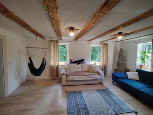 a living room with a couch and a spider on the ceiling at Haus Wiese & Lagune in Ettenheim