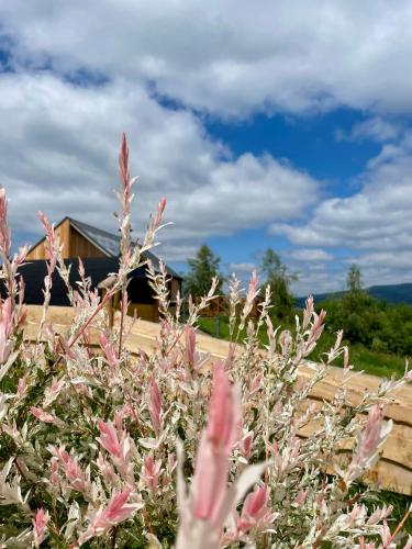 a bush with pink flowers in front of a house at Somnium Pieniny in Tylka