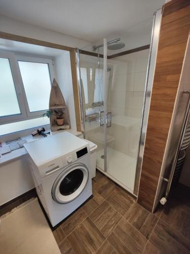 a washing machine in a bathroom with a shower at Haus Wiese & Lagune in Ettenheim