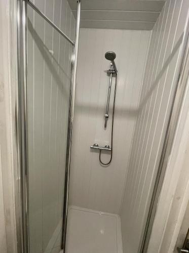 a shower stall with a toilet in a bathroom at Entire Cosy Flat in Central London in London