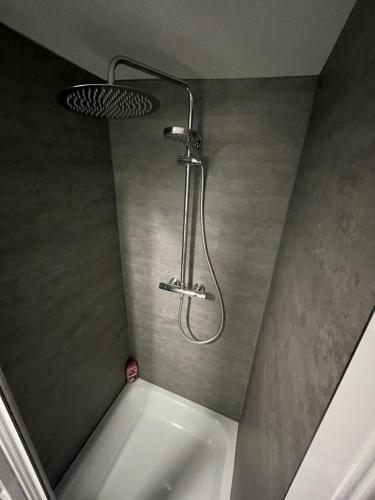 a shower in the corner of a bathroom at De Leo 2 in Gailingen