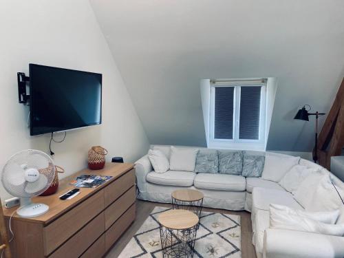 Televisyen dan/atau pusat hiburan di Charming Apartment Gace VI