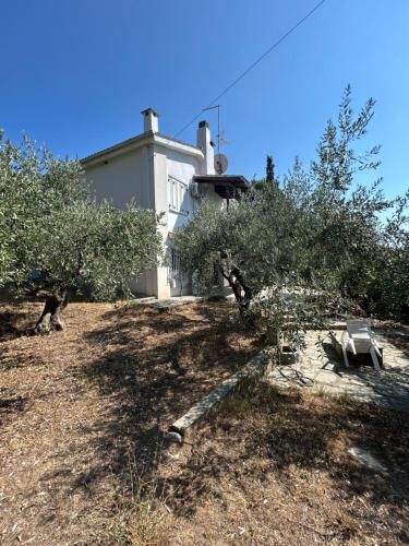 Κήπος έξω από το Villa Helga by the Sea