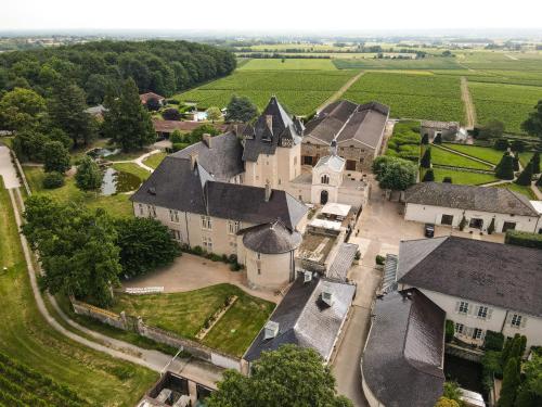 an aerial view of a village with houses and trees at Château de Pizay in Belleville-sur-Saône