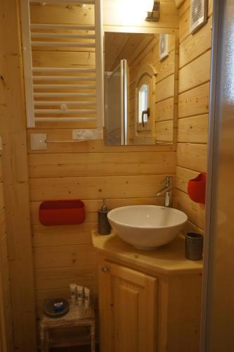 une salle de bain avec un lavabo et un miroir dans l'établissement Le Pont Rouge Roulotte, à Sylvéréal