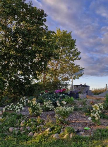 a garden with flowers and trees and a house at Chatka bez zegarka in Kętrzyn
