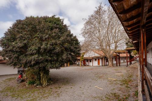 a tree in a yard next to a building at Apart Hotel Explora Tandil in Tandil