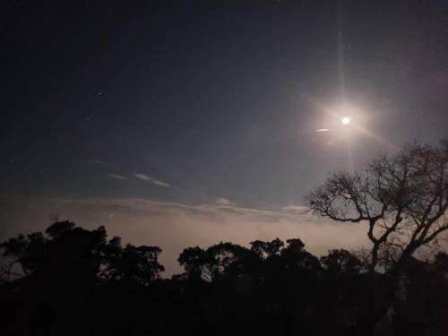 a sun shining in the sky over trees at night at Cabana Araucária in Bom Retiro