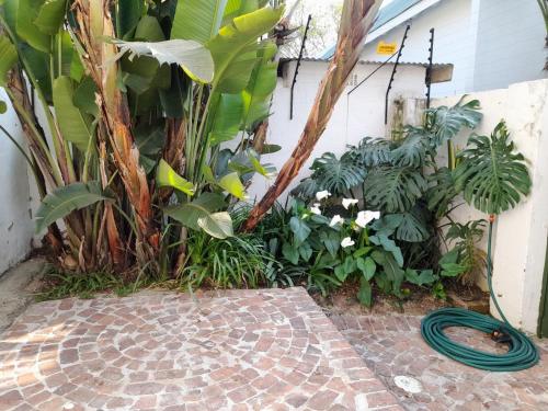 a garden with a hose and some plants at Rivonia Garden Suites in Johannesburg