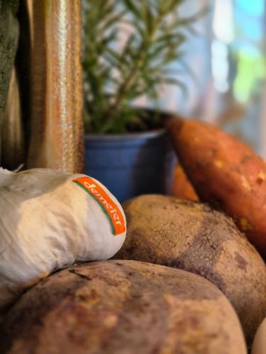 a pile of potatoes and carrots and a plant at Holistic Home Ökologisch-Biologisch-Philosophisch in Höhr-Grenzhausen