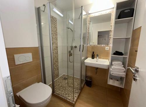 a bathroom with a shower and a toilet and a sink at Boutique Hotel am Schillerplatz in Dresden