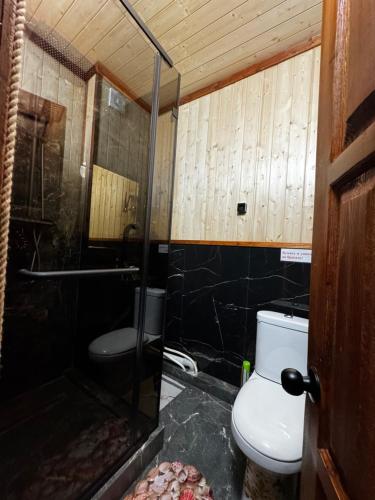 a bathroom with a toilet and a shower at ProLes Burabay Eco Hotel in Borovoye