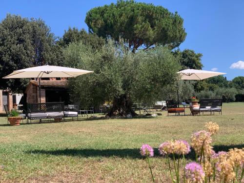 Podere La Ceppa1にある庭