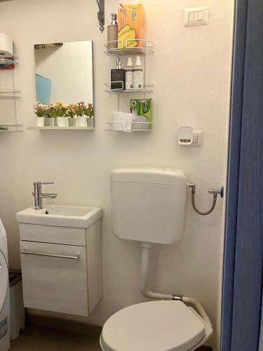 a bathroom with a toilet and a sink and a mirror at Casa Ulivo in San Sperate