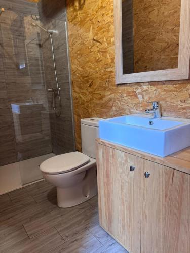 a bathroom with a toilet and a sink and a shower at Hotel Rural Venero Claro by Kerbest in Navaluenga