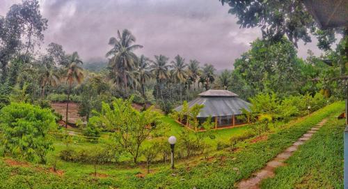 a field with a tent in the middle of a forest at Birds Murmur glamp in Kuttampuzha