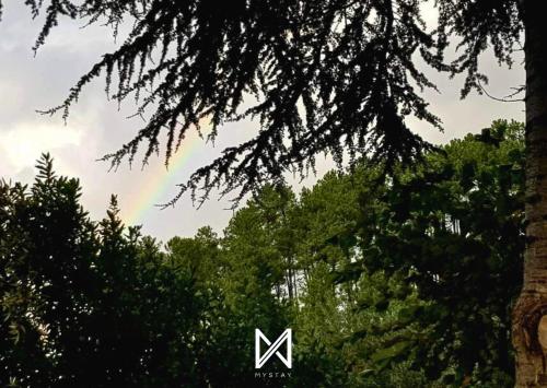 a rainbow in the sky behind some trees at MyStay - Casa Aguarela in São Romão