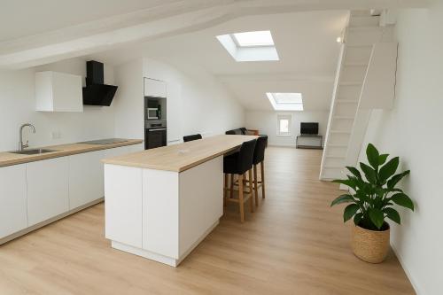 Una cocina con gabinetes blancos y una isla con una planta en maceta. en Lum de Dax - Clim - Centre - Spacieux, en Dax