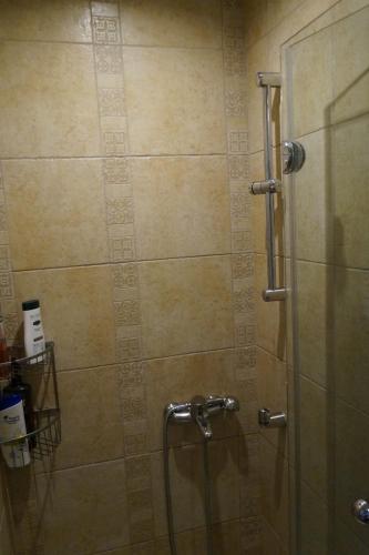 a shower with a glass door in a bathroom at Apartment with a garden, BBQ, swimming pool and jacuzzi in Drafí
