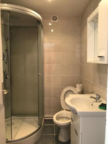 a bathroom with a shower and a toilet and a sink at Private apartment in Herceg Novi in Španjola