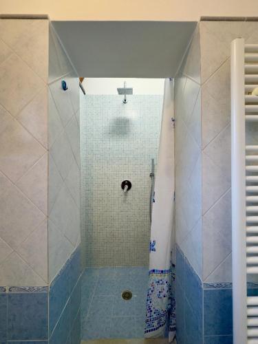 ein Badezimmer mit einer Dusche mit blauen Fliesen in der Unterkunft Stella d'Argento in Termini