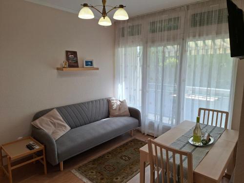 Χώρος καθιστικού στο Apartman Termál