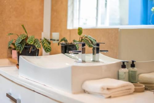 a bathroom counter with a sink with plants on it at Lovely Home in Trendy Bo-Kaap! in Cape Town