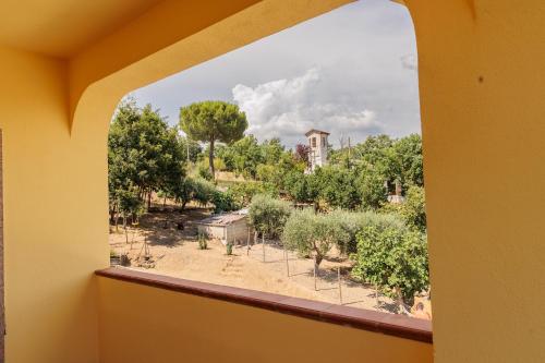 a window in a building looking out at a garden at B&B Il Rifugio di Olea in Picerno