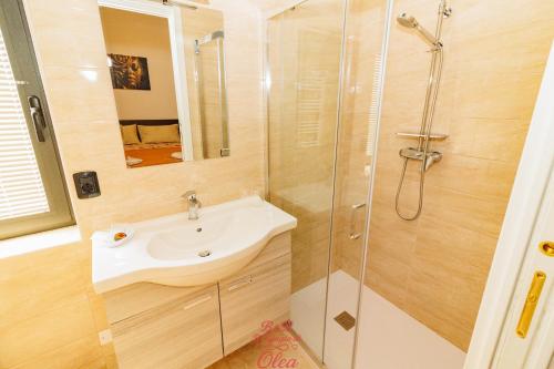 a bathroom with a sink and a shower at B&B Il Rifugio di Olea in Picerno