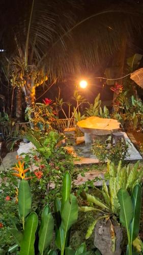 a garden with a bench and many plants at Bamboo Craft Homestay in Sangyang