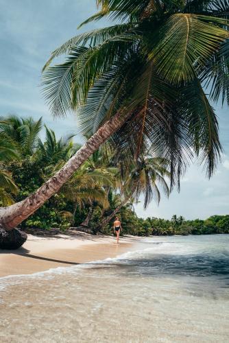 a woman walking on the beach under a palm tree at La Loma Jungle Lodge and Chocolate Farm in Bocas del Toro