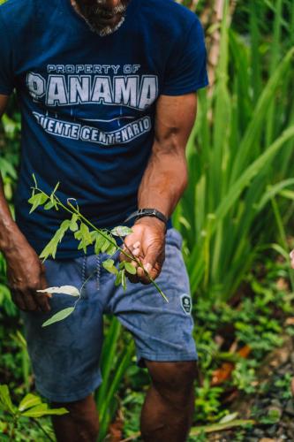 a man is holding a plant in his hand at La Loma Jungle Lodge and Chocolate Farm in Bocas del Toro