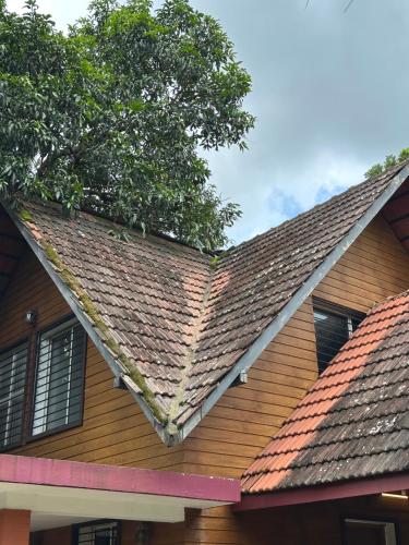 a roof of a house with a tree on it at Cottage on Riverside in Irinjālakuda
