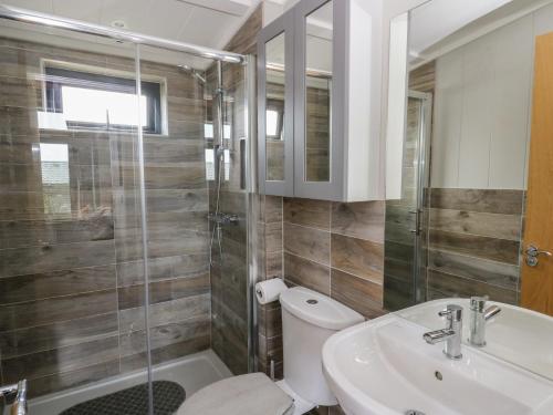 a bathroom with a toilet and a sink and a shower at Coogee View in New Quay