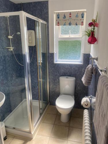 a bathroom with a toilet and a shower and a window at Tea Lane Cottage in Carnlough